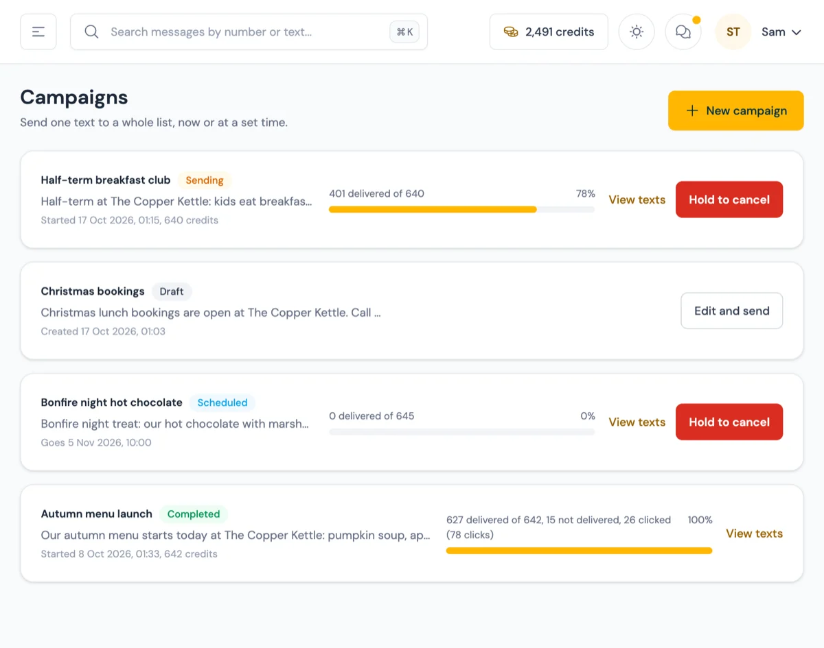 The campaigns page, listing campaigns with their status and a delivered progress bar
